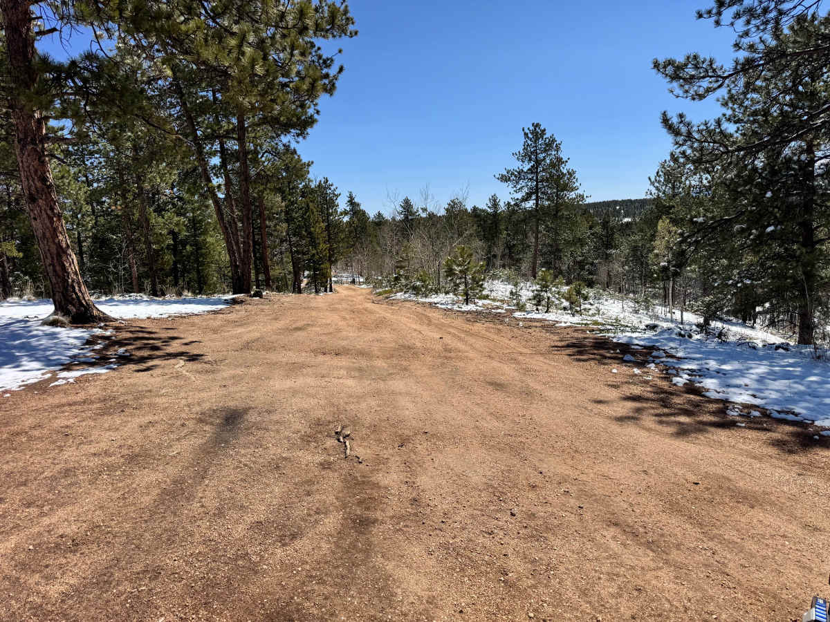Cedar Cut 2 - FS 359 trail photo