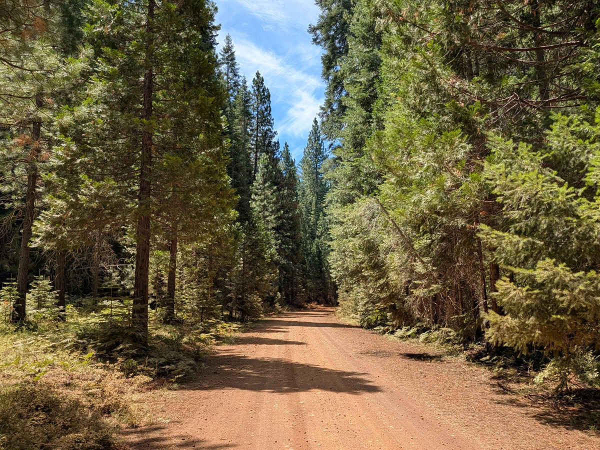 Cow Creek - FS 39N90 photo 2