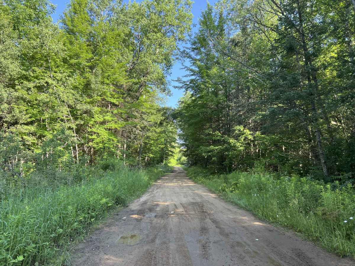 Berrys Lane photo 5