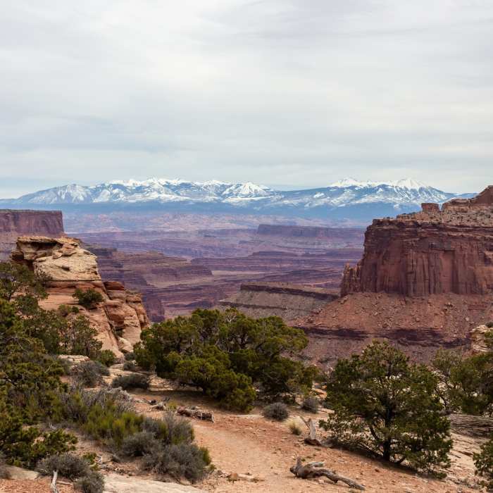 Near Neck Spring Trail