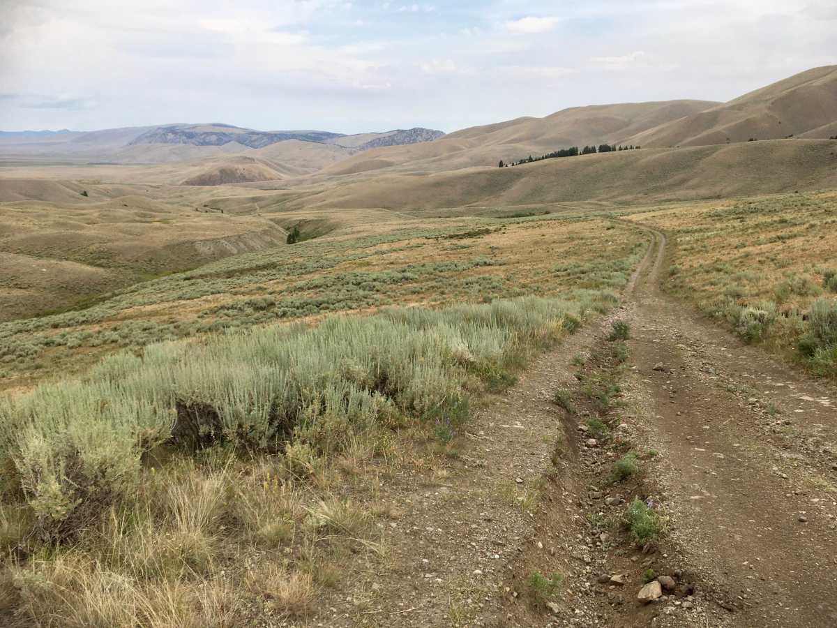 Bannack Pass Road trail photo