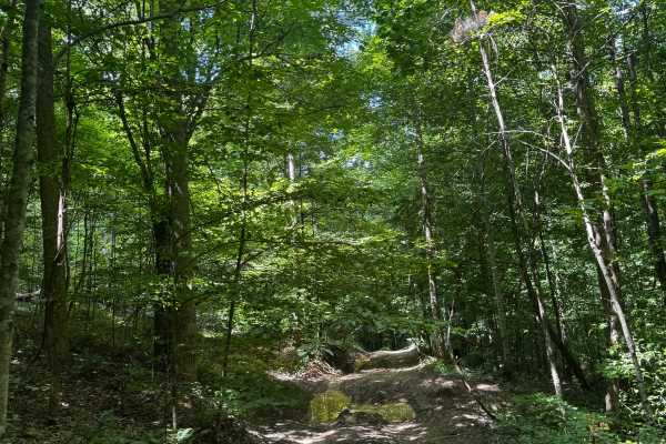 Trail 11A