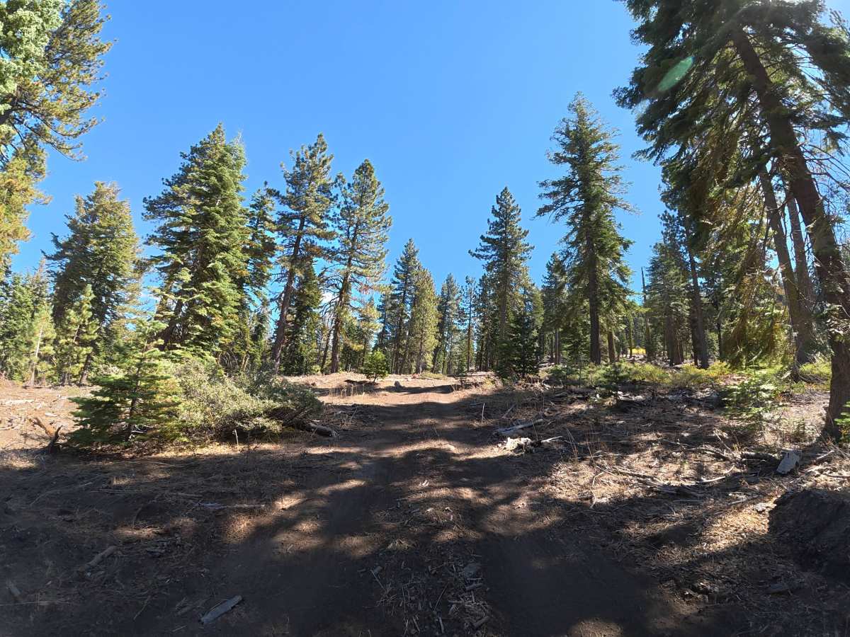 FS 17EV497 trail photo