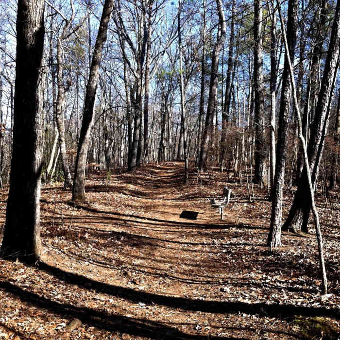 Vickery Creek. Near Roswell Mill