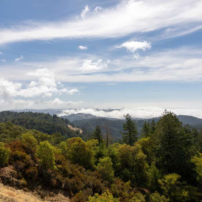 Near Sea to Sky Trail