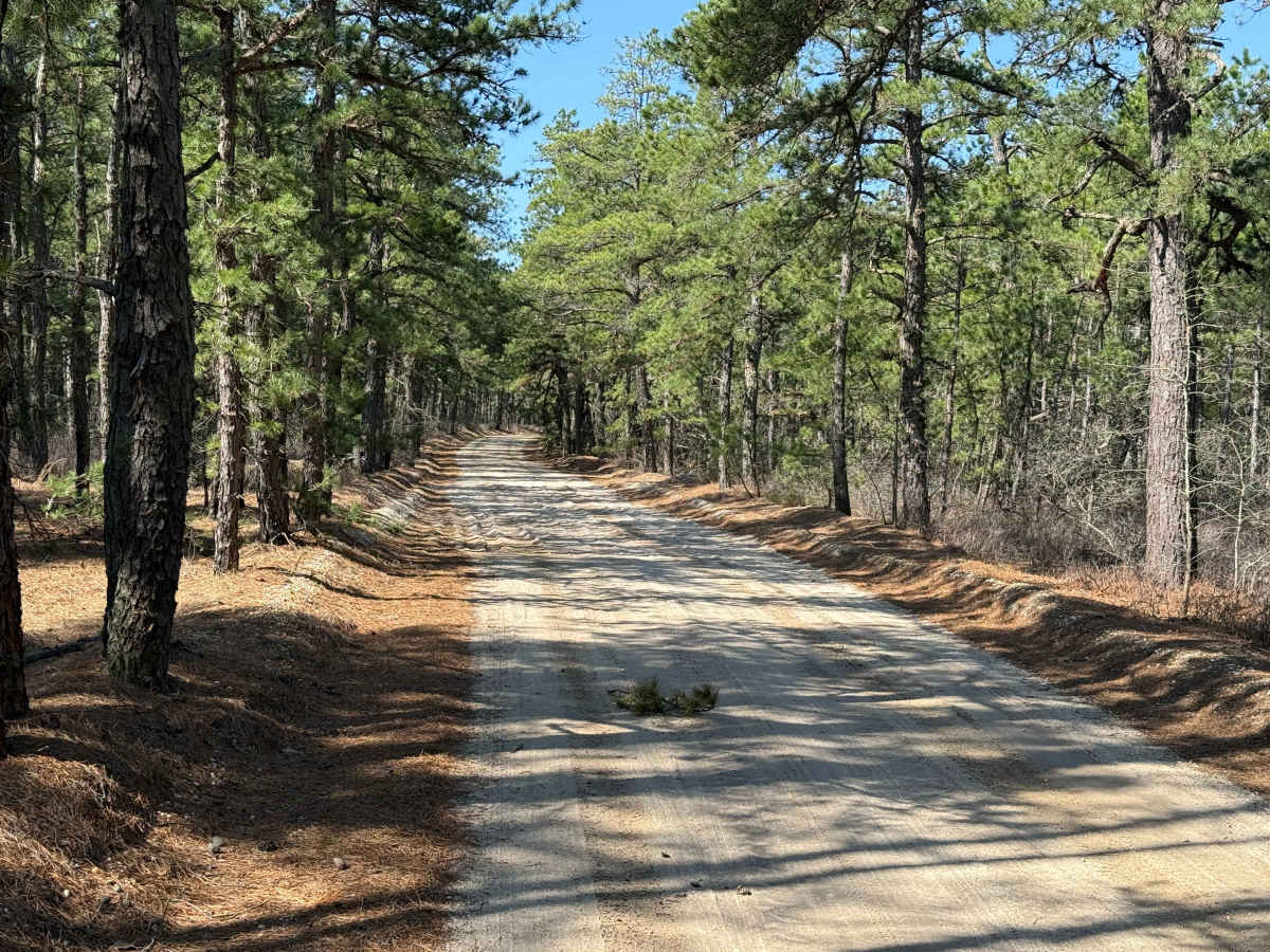 Mount Misery and Pasadena Road photo 3