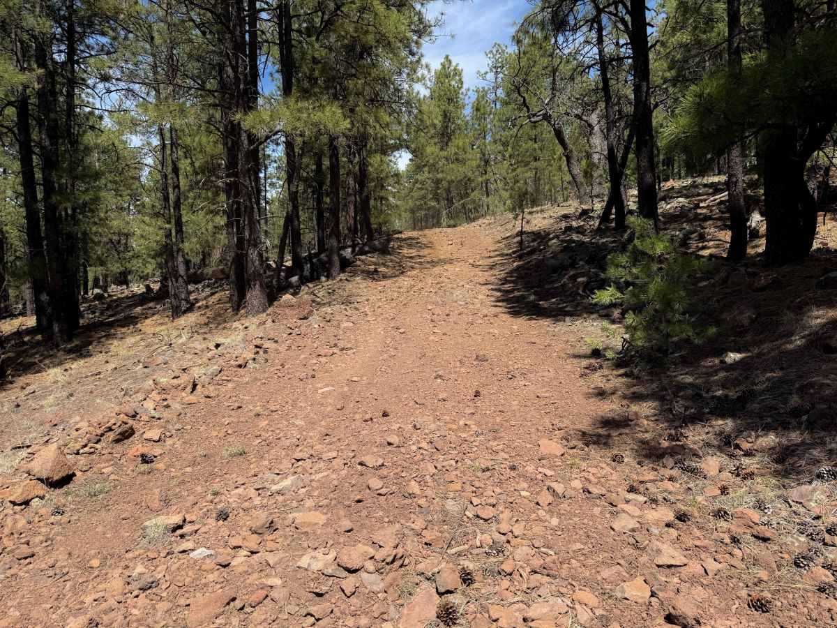 Gallo Peak Trail #6  photo 3