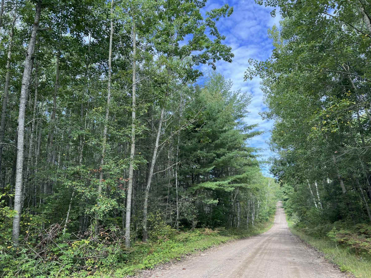 Knowles Creek Road - FS 2349 photo 2