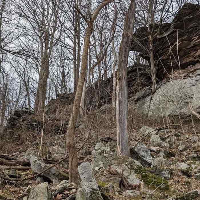 Near Will's Rocks Sidetrail