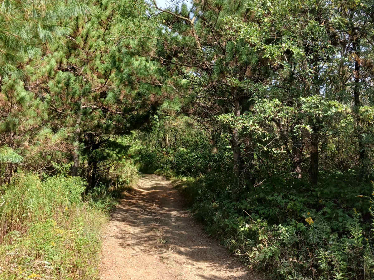 Trail 5D - Rock Run Recreation Area photo 4