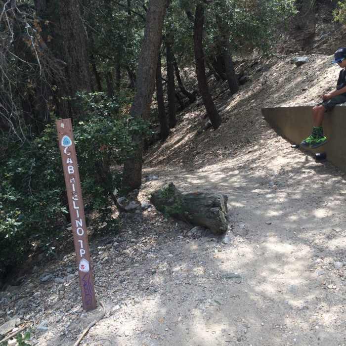 Near Red Box Trailhead to Valley Forge Campground