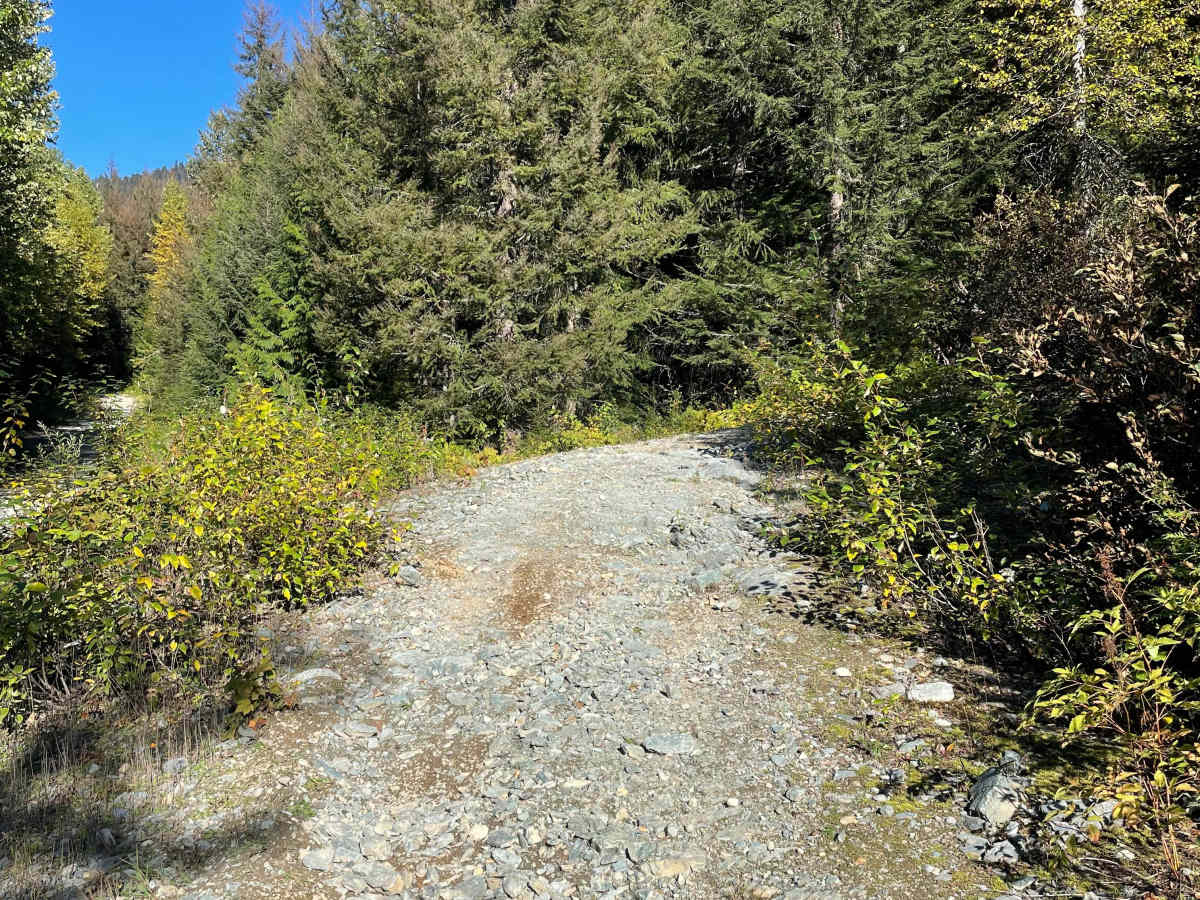 Doubletrack #1 photo 4