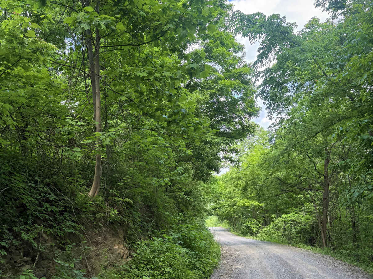 Rabbit Ridge photo 2
