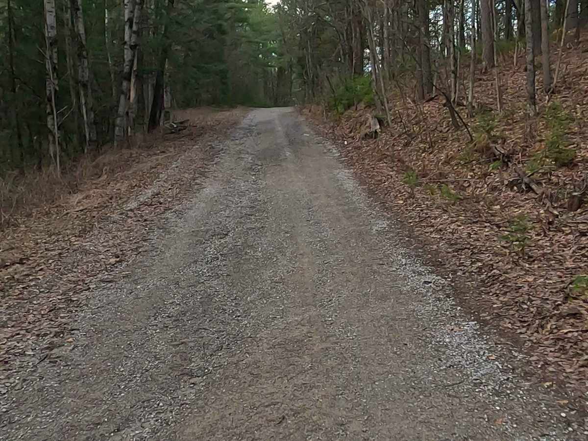 Wilcox Drive - FS 4093 photo 3