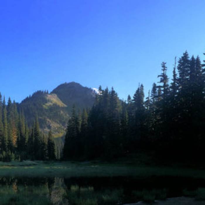 Near Indian Henry's Hunting Ground via Longmire Trail