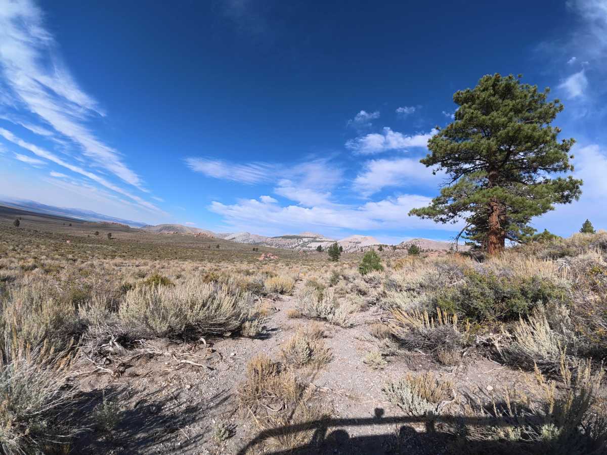 Aeolian South - FS 1S37 trail photo