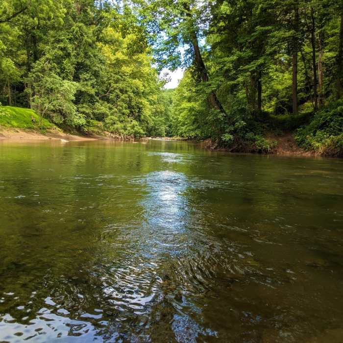 View across the water where the north (right) and south (center) forks of the Patapsco meet. Near Mckeldin River Crossing South