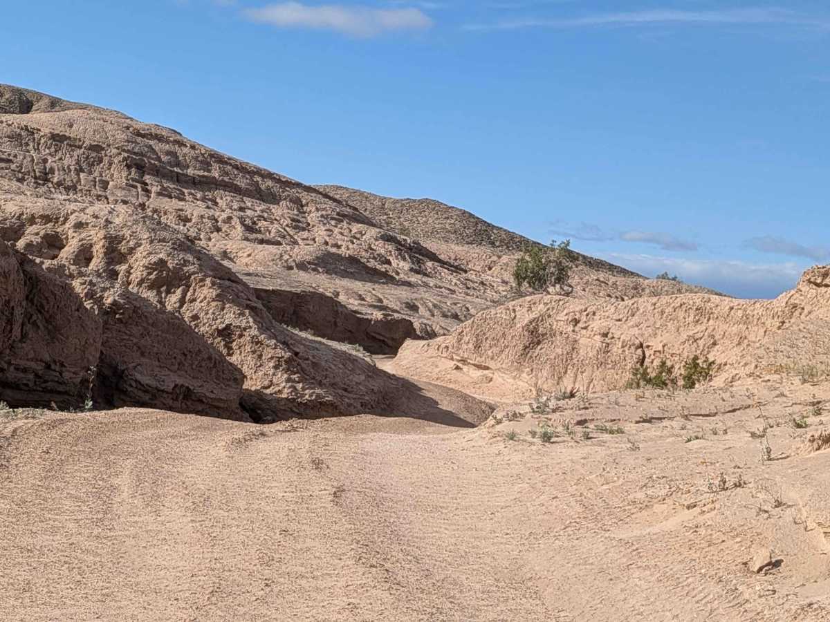 BLM 310 photo 3