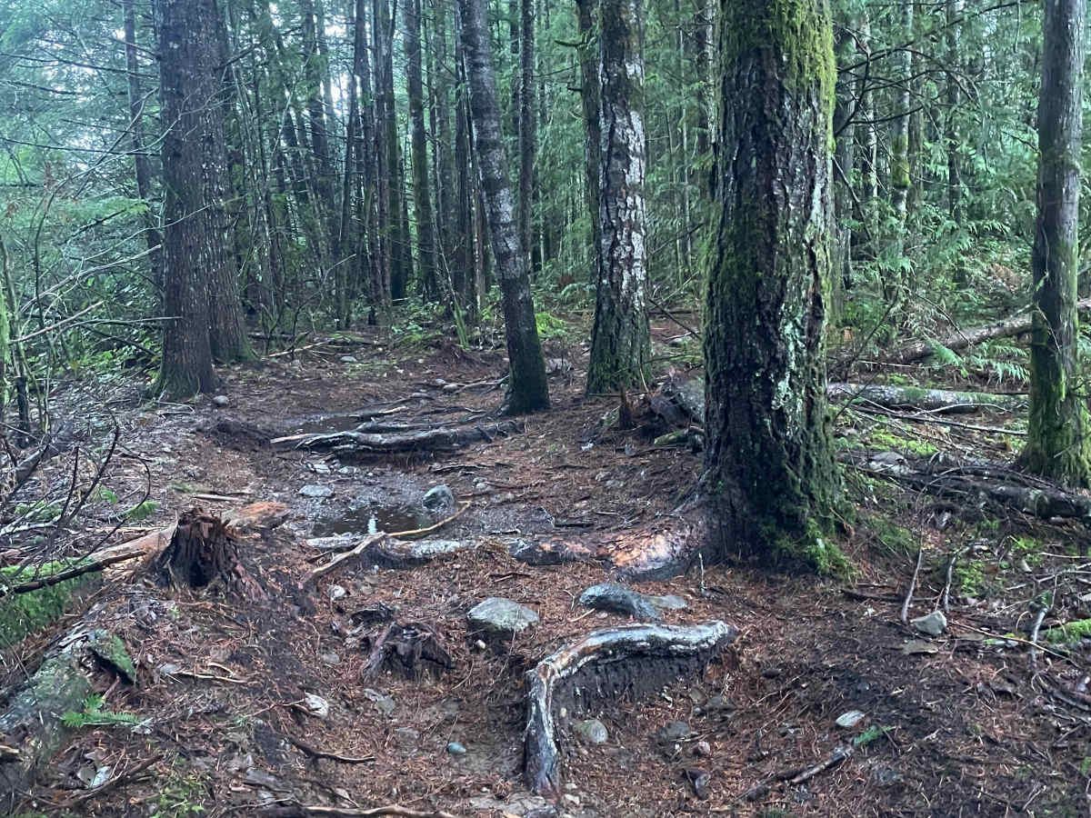 Runway trail photo