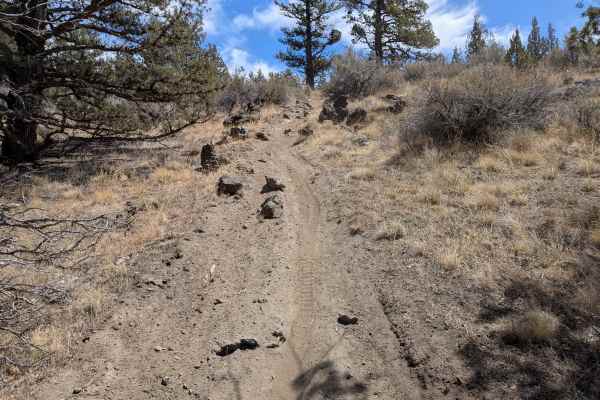 Cline Buttes OHV Trail 45 Loop