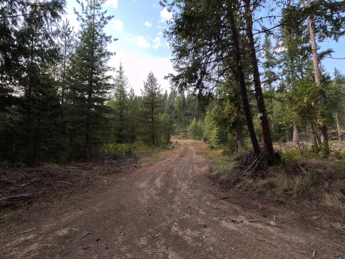 DNR Road 344428E trail photo