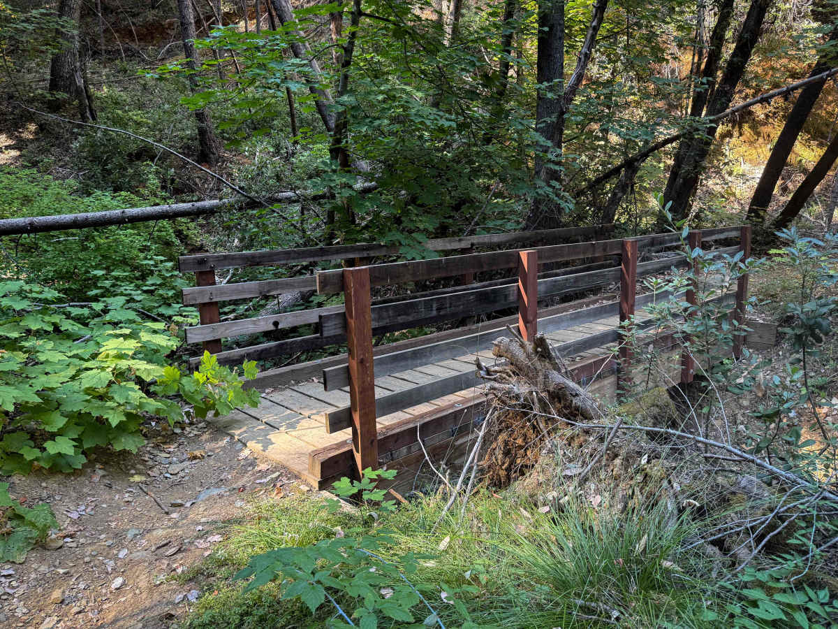Trail 5 (11E31)   trail photo