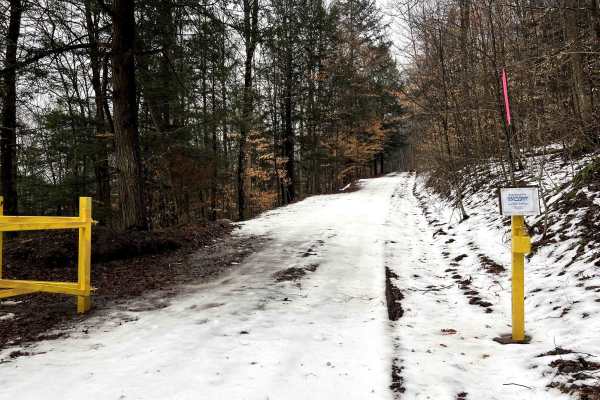 Williams Trail