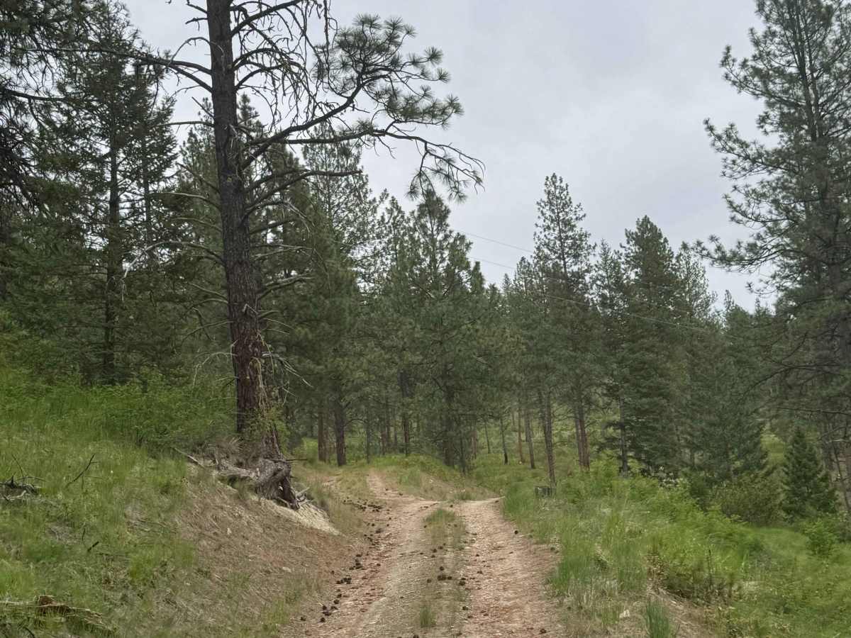 Powerline Road - FS 2000-092 photo 2