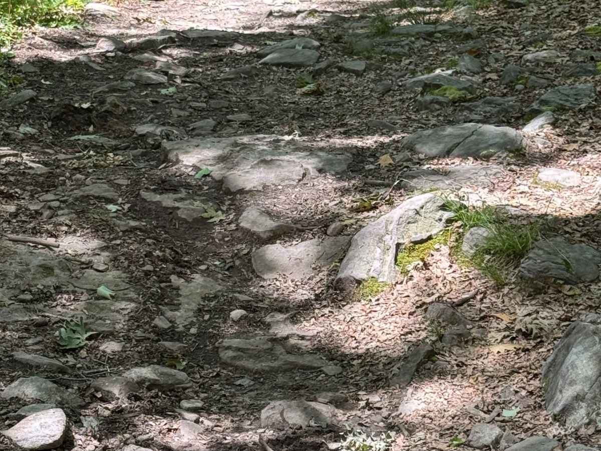 Molly's Meander photo 6