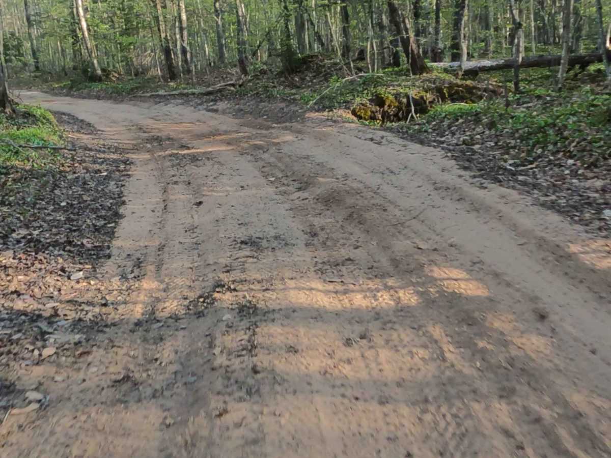 North Brumm Road photo 6