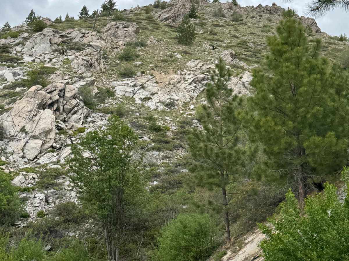 Deer Road - FS 8020-117 photo 6