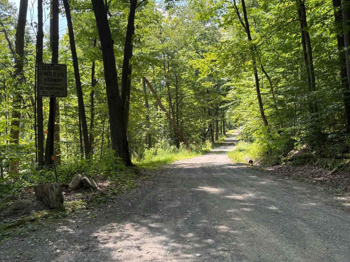 Lewis Road trail photo
