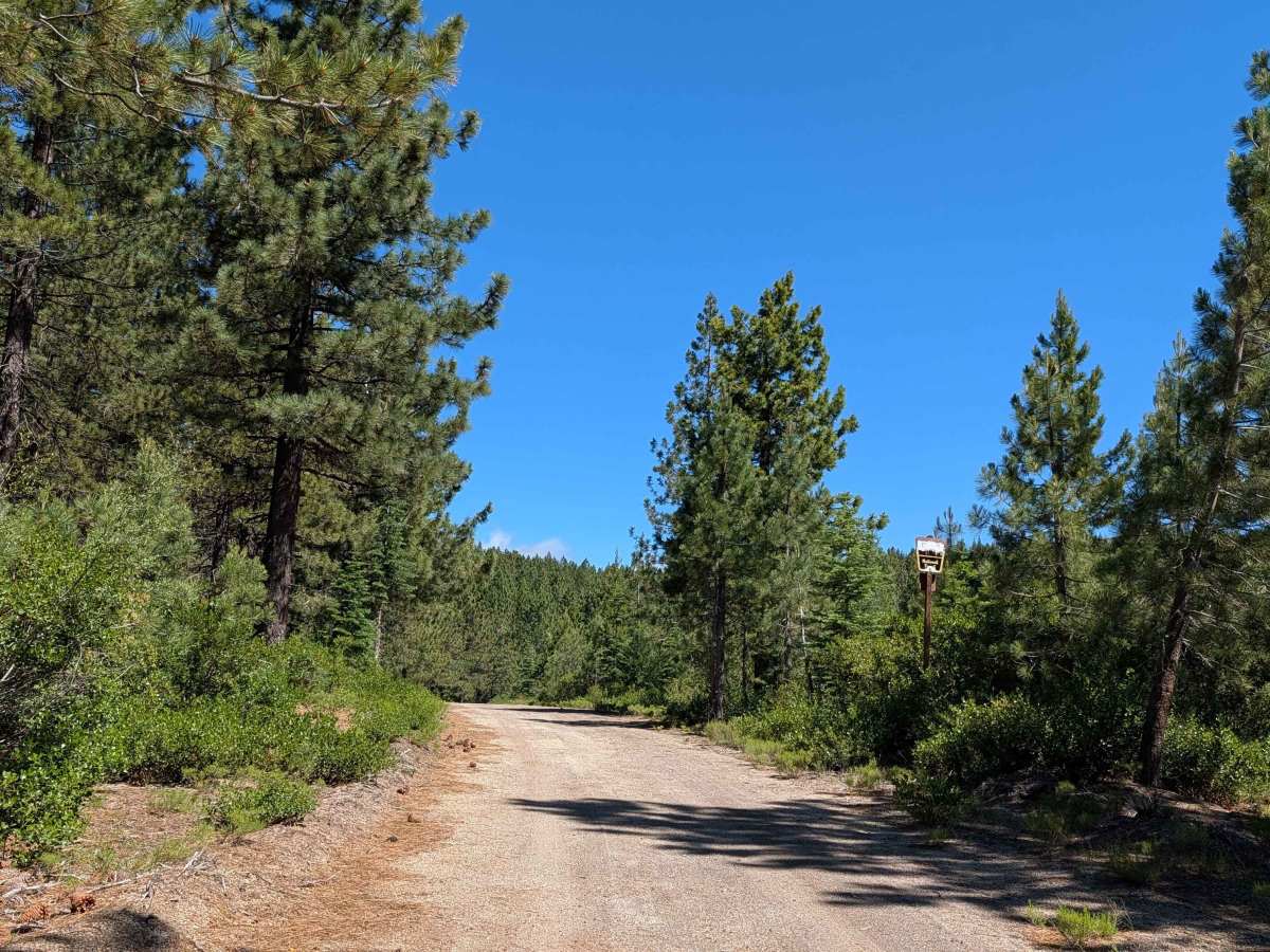 Lost Spring "Pigs Ear" East - FS 43N04 photo 2