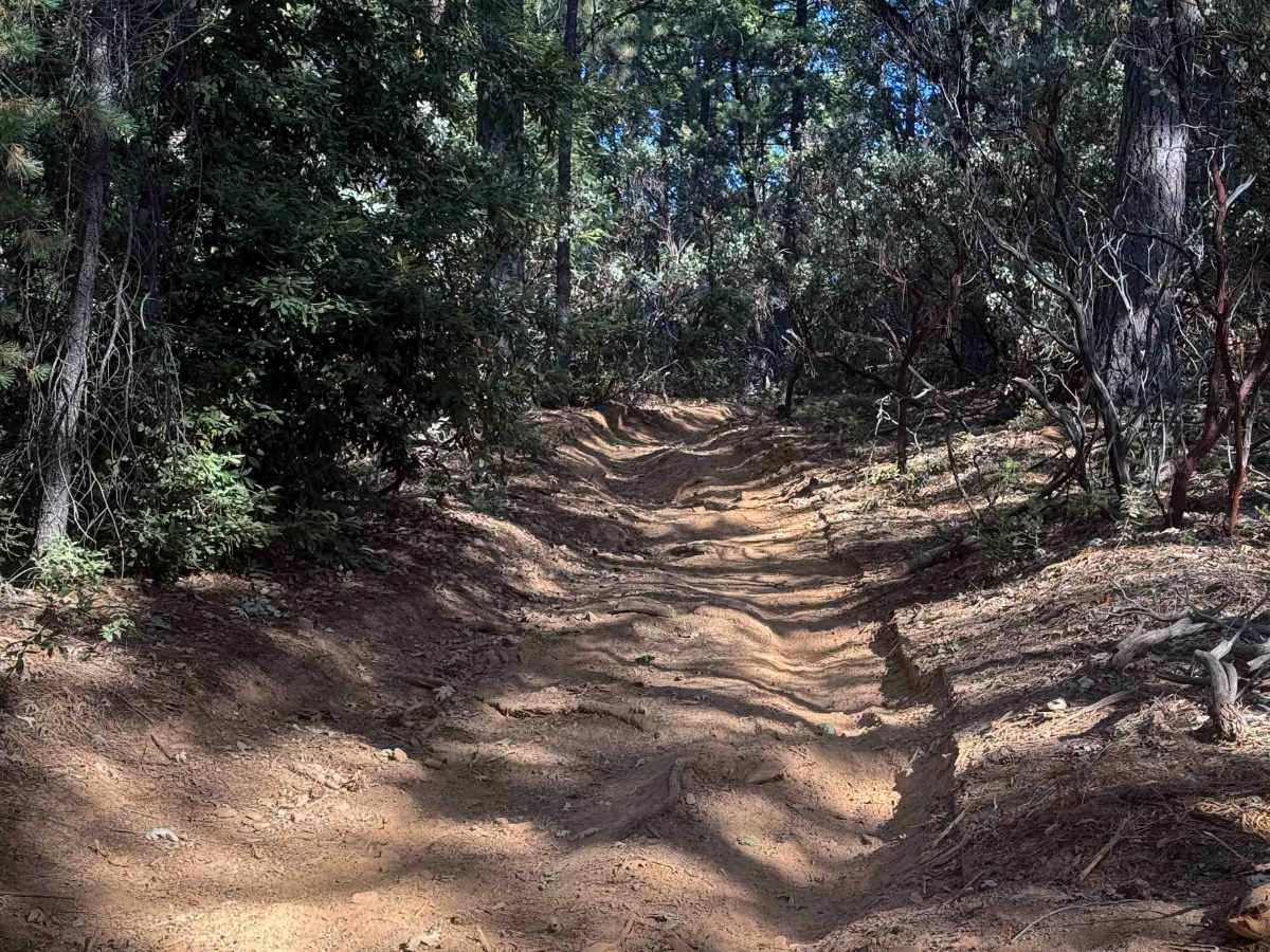 Trail 4-2 (11E25)  photo 5