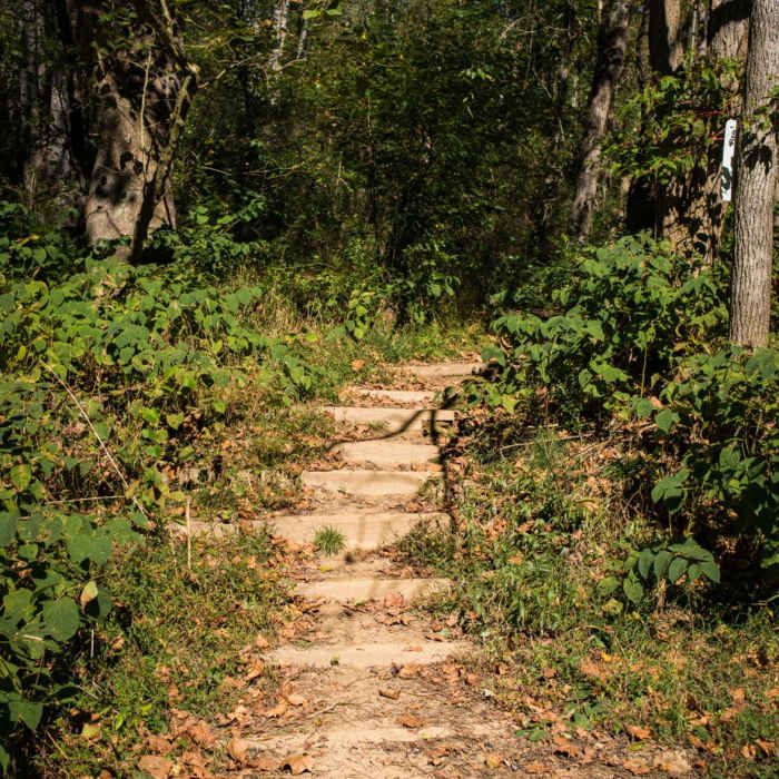 Near Hominy Creek Greenway Near Hominy Creek Greenway