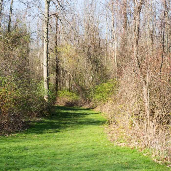 Near Chimney Bluffs Loop