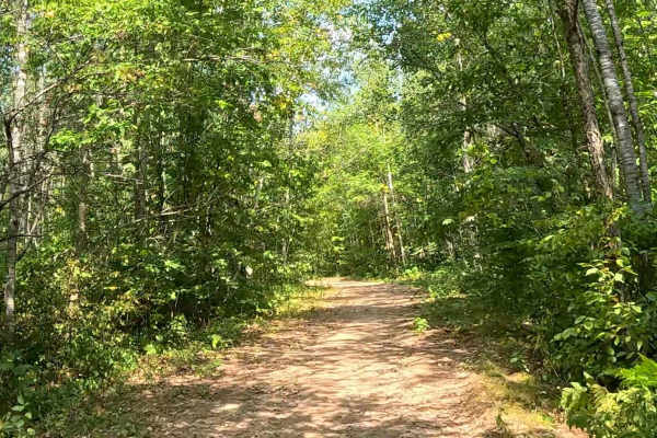 AlanDale Stem Trail