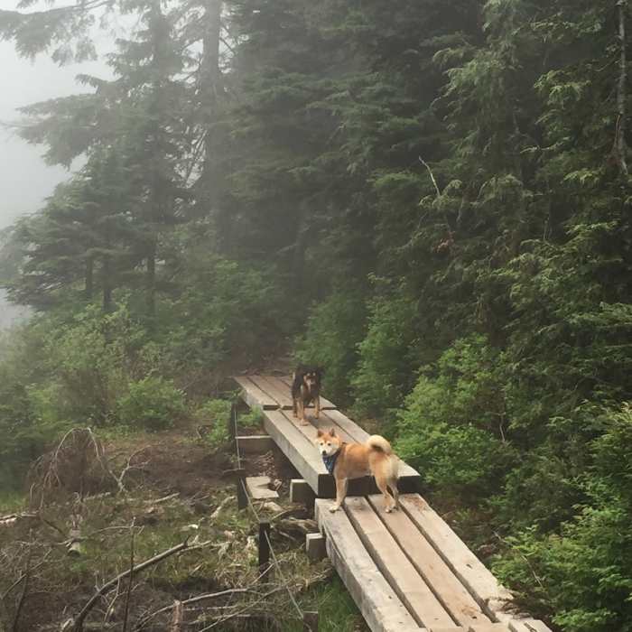 Near Brothers Creek Trail