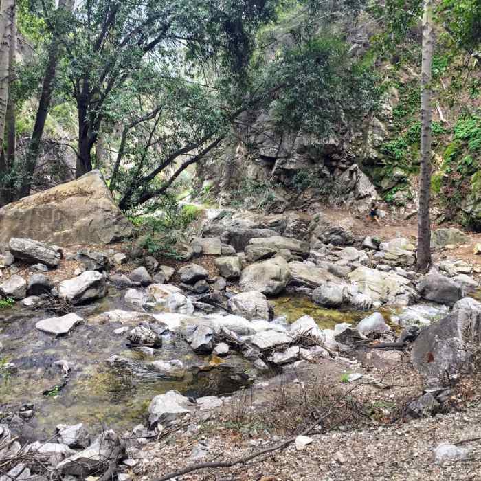 Near Mount Wilson Trail Loop