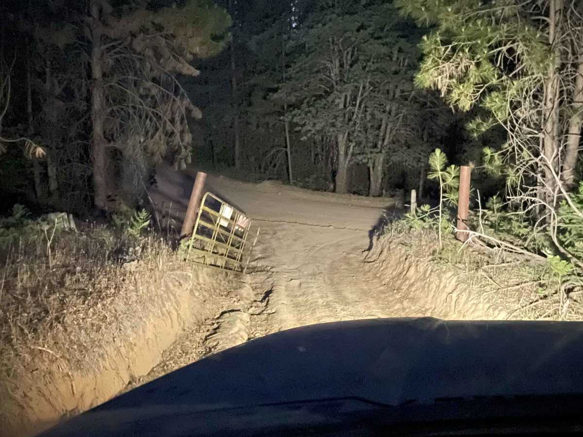 The Rut photo 5