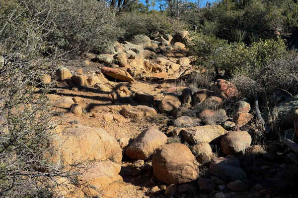 Cutoff Trail #22 