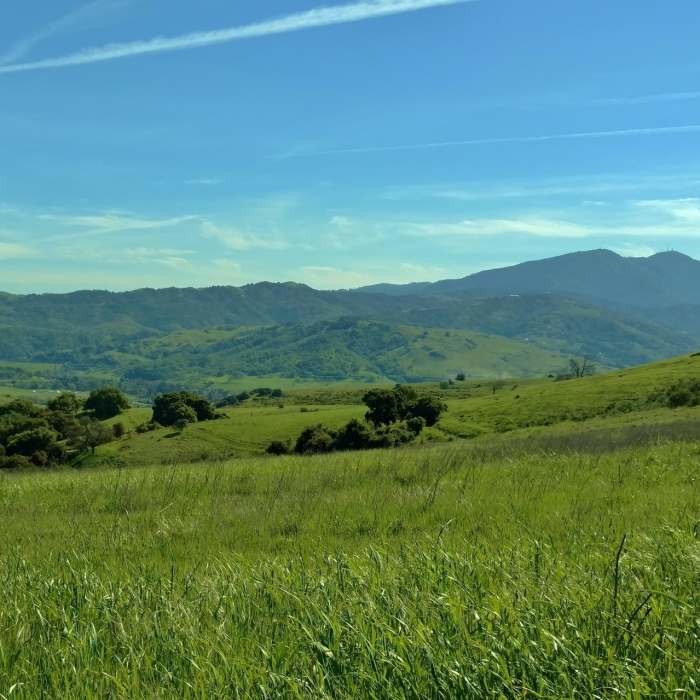 Near Vista Loop