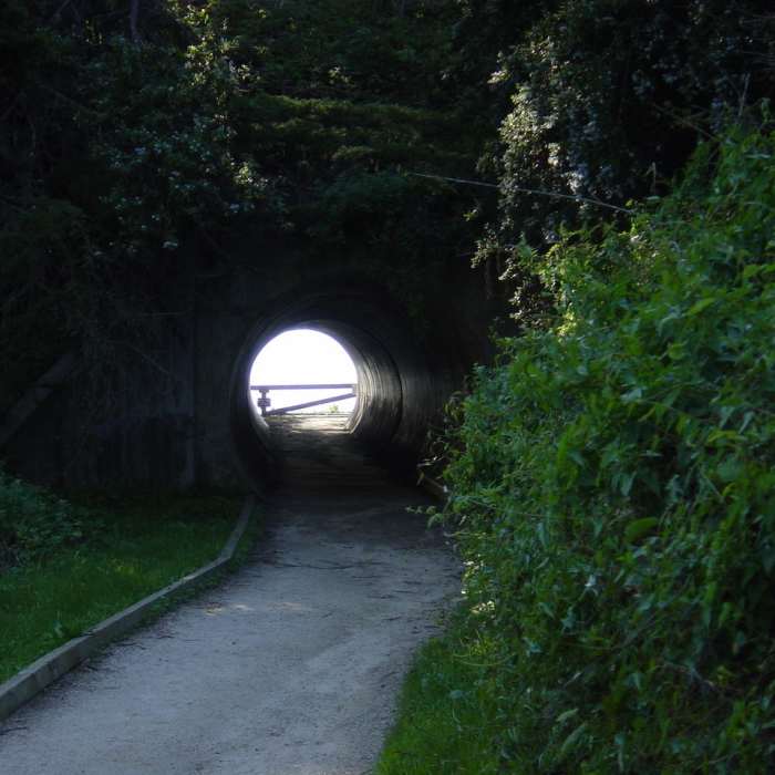 Pedestrian tunnel along McWay Waterfall Overlook Trail Near Waterfall Overlook Trail
