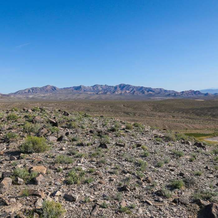 Near South Pond Trail