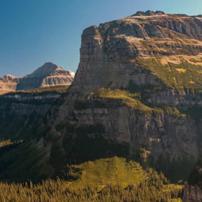 Near Reynolds Mountain Out-and-Back