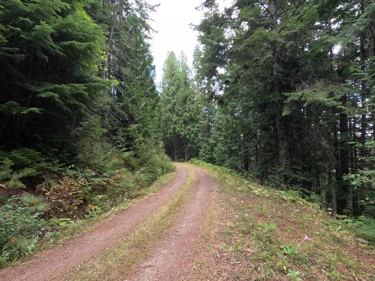 Galena Basin - FS 1089 photo 2