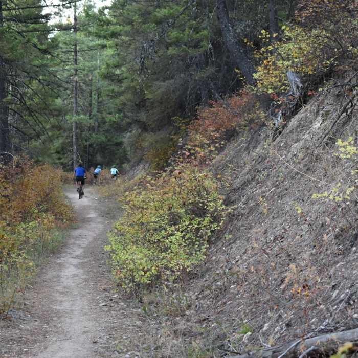 Near Historic Curry Cabin + Sawmill Gulch Loop