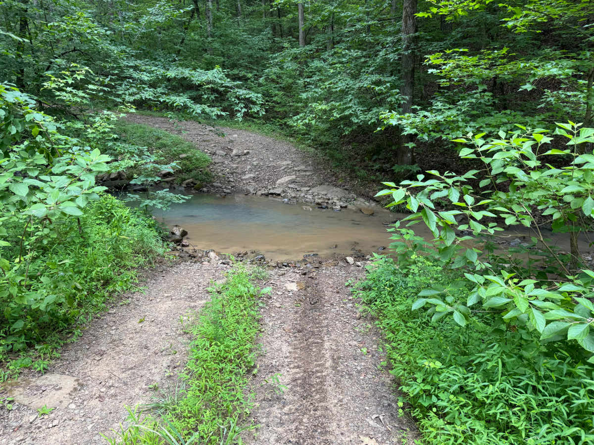 Sulpher Branch photo 4
