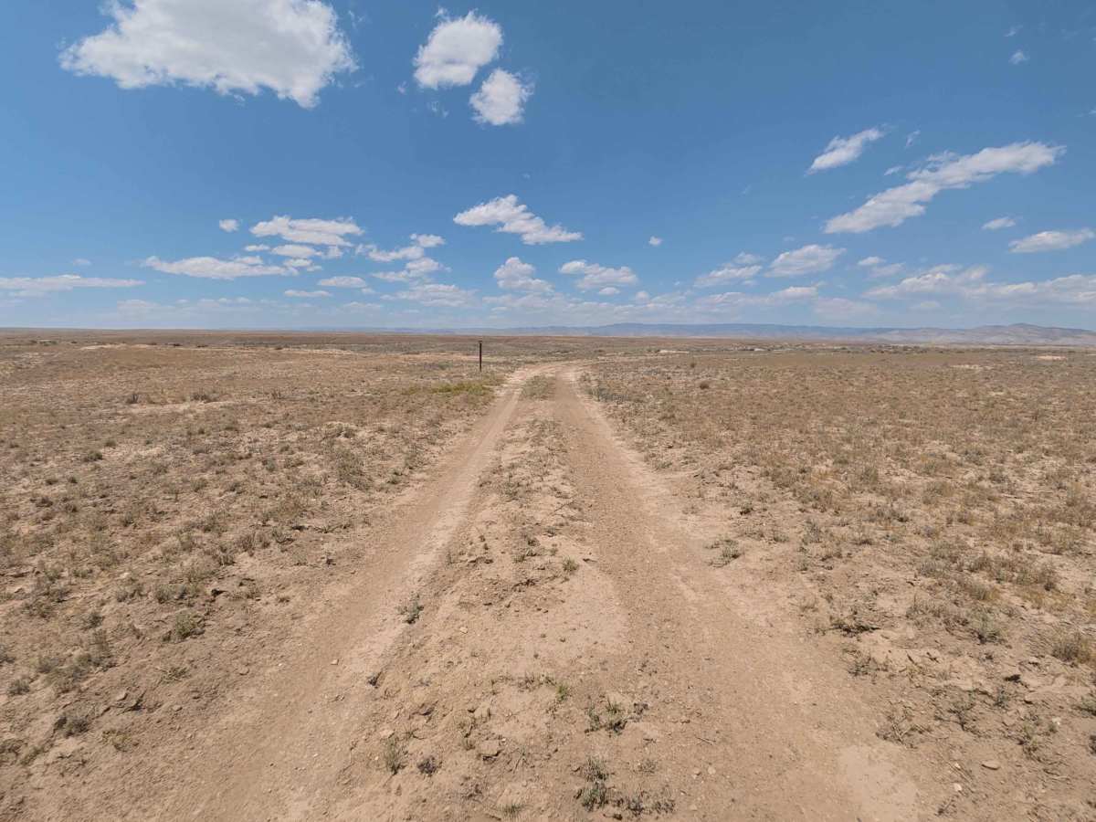 BLM 126 photo 6