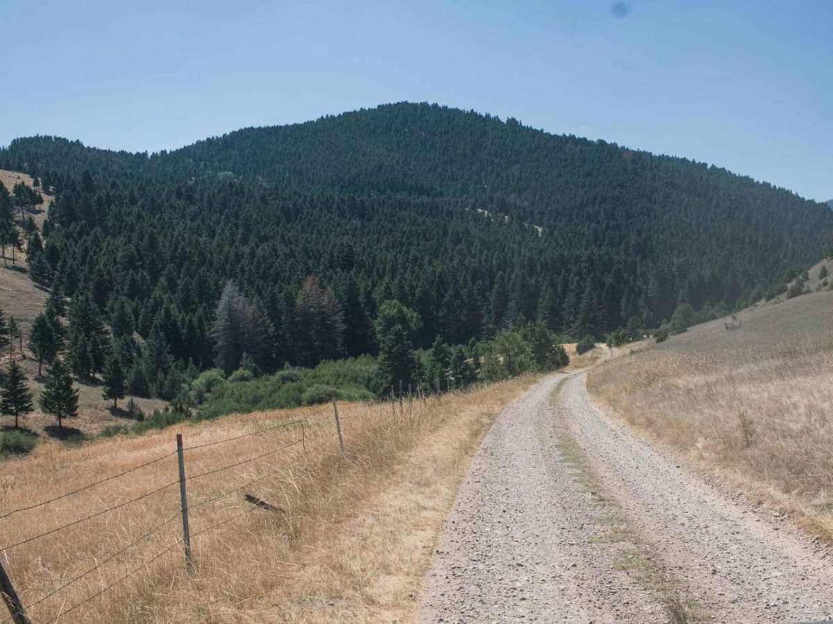 Smart Creek photo 2